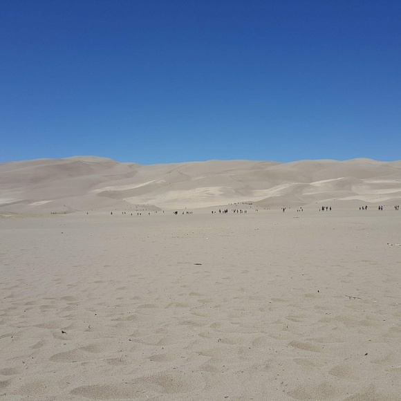 Meet your Posher, Trish - Picture 7 of 8